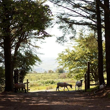 Wheal Tor Hotel & Glamping Liskeard Extérieur photo
