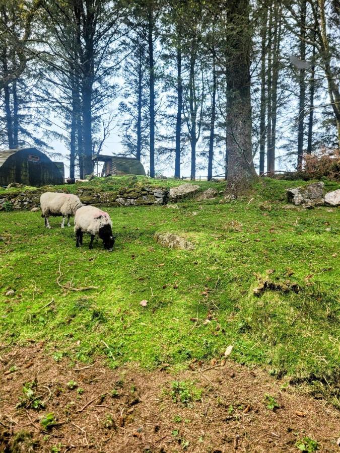 Wheal Tor Hotel & Glamping Liskeard Extérieur photo